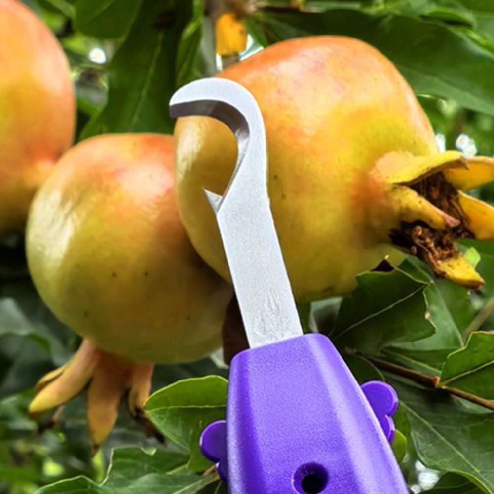 Gardening Tools Vegetables - Draagbare fruit- en groenteplukker, multifunctioneel tuingereedschap