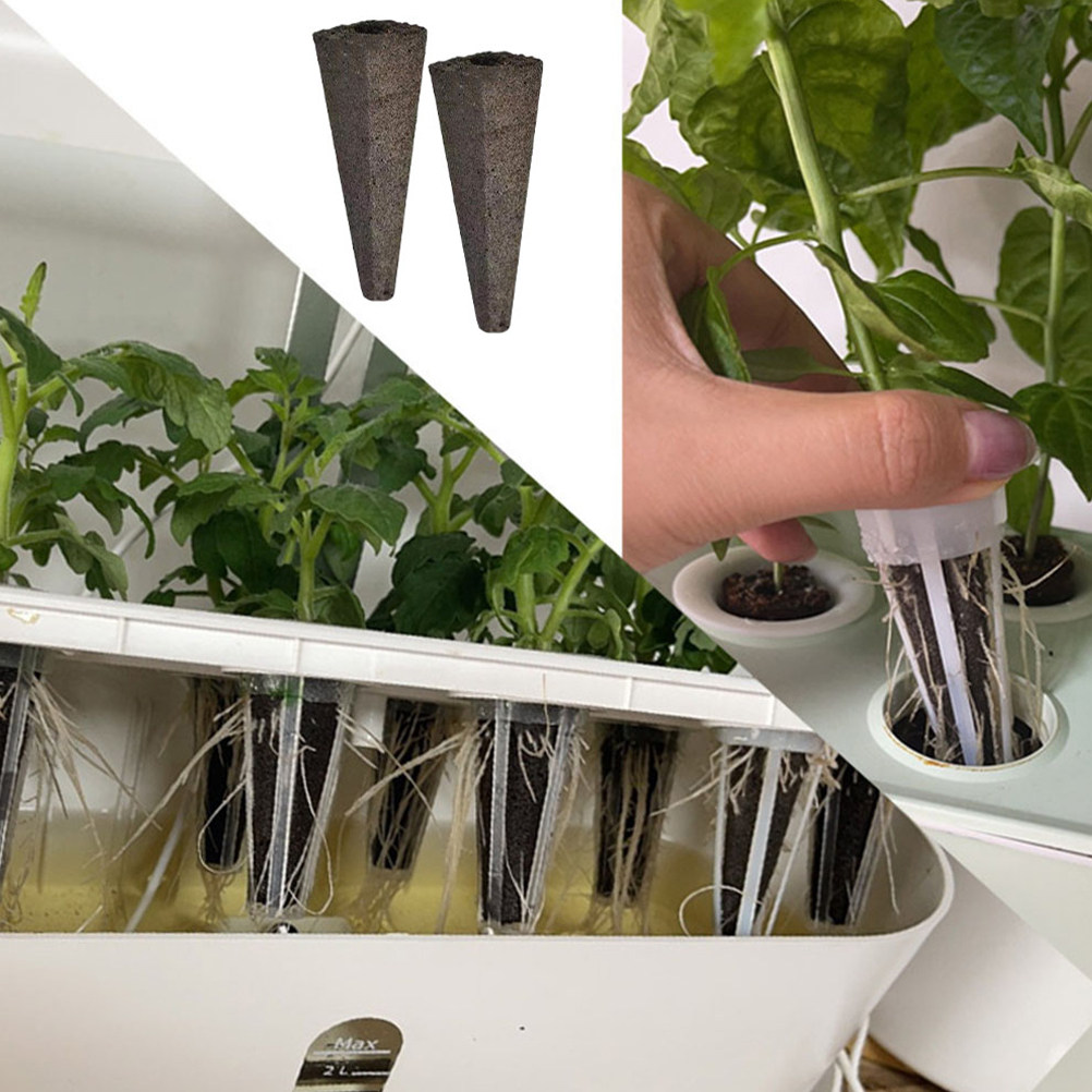 10 stuks kweekschuimen voor gr - Gardening Tools Vegetables recensie en prijs
