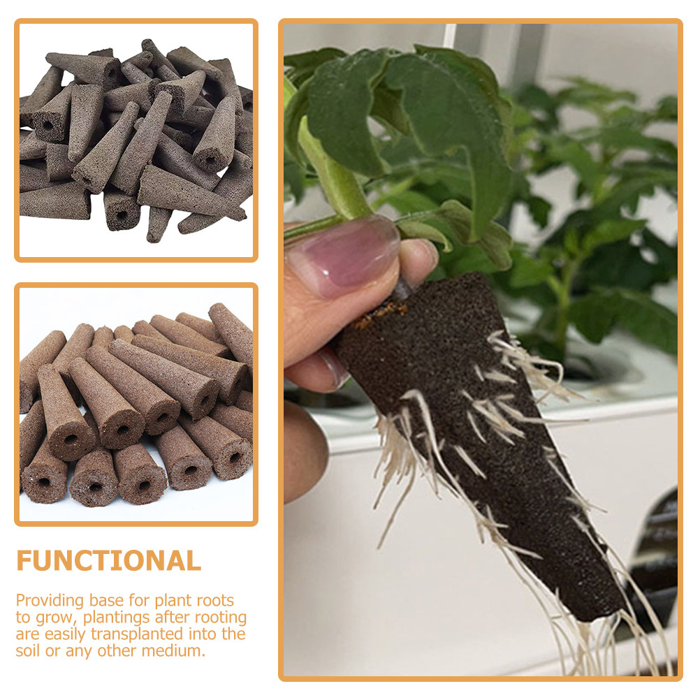 10 stuks kweekschuimen voor gr - Gardening Tools Vegetables recensie en prijs