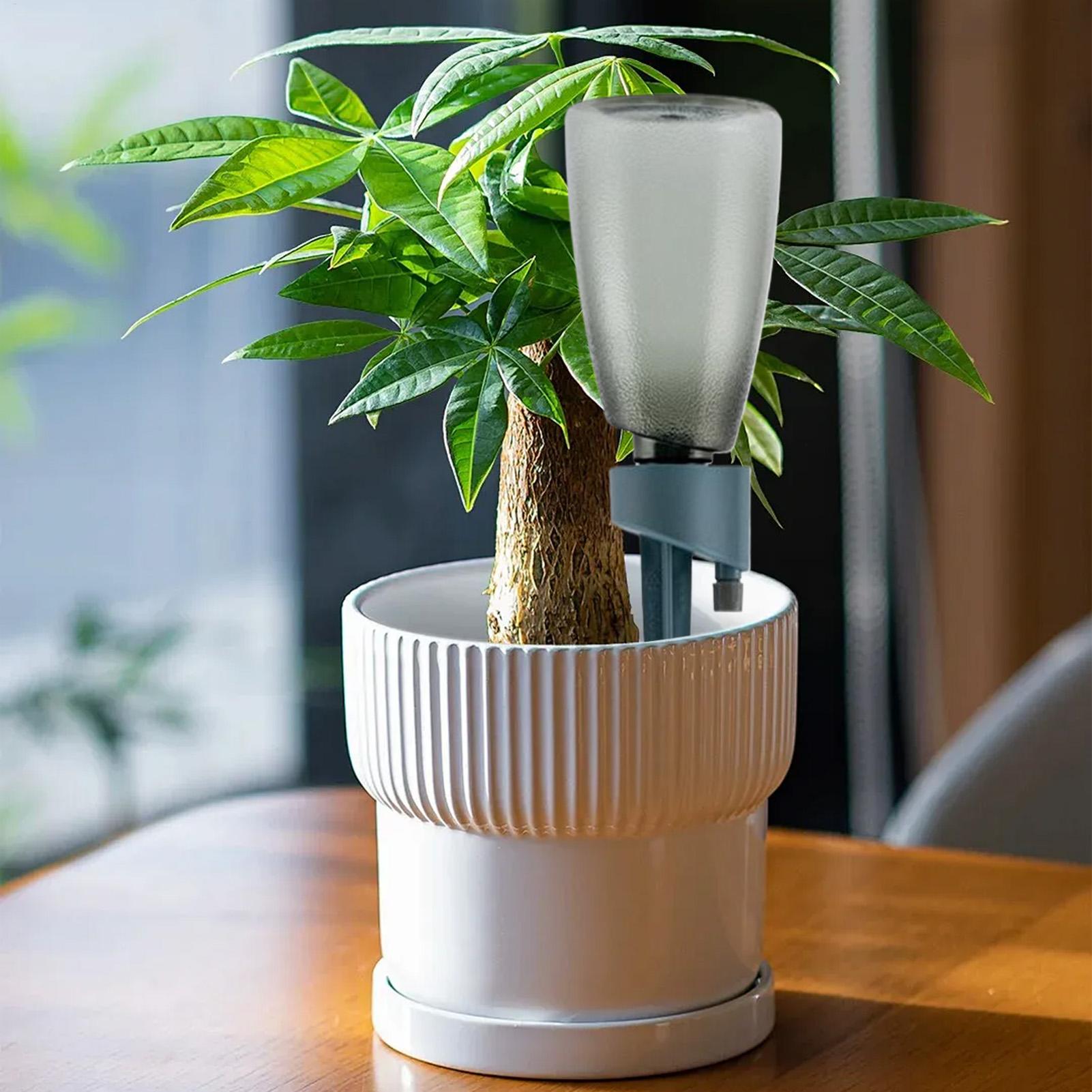 6-delige automatische watergev - Automatic Plant Waterer recensie en prijs