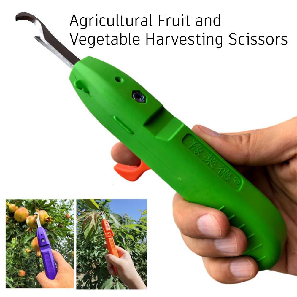 Draagbare fruit- en groenteplu - Gardening Tools Vegetables recensie en prijs
