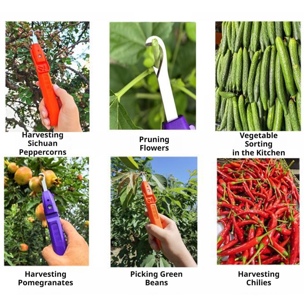 Draagbare fruit- en groenteplu - Gardening Tools Vegetables recensie en prijs