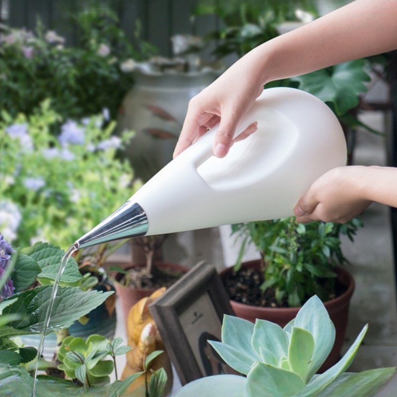 Gieter met lange uitloop voor  - Watering Can Long Spout recensie en prijs
