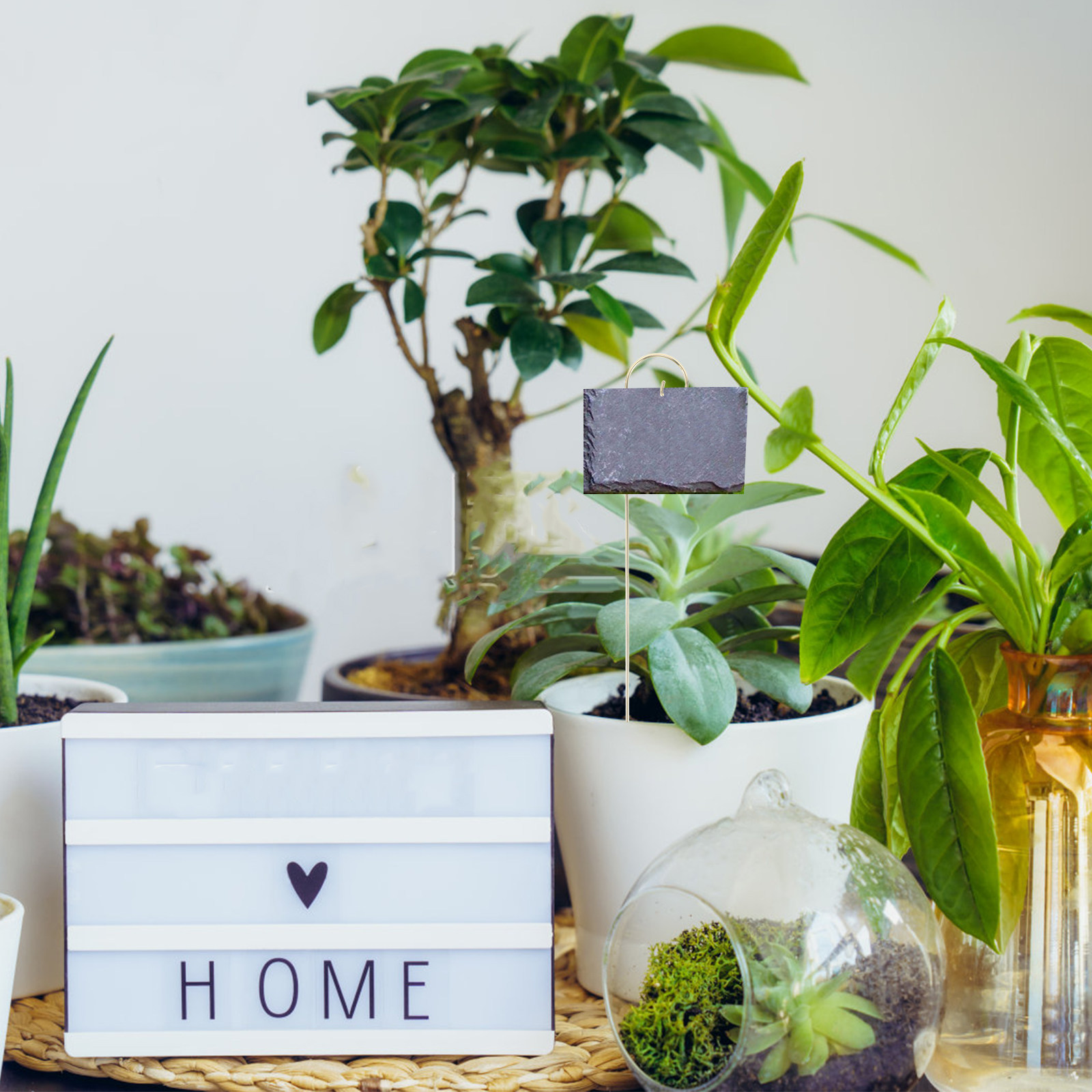 10 stuks robuuste buitenhaken  - Garden Label Marker recensie en prijs