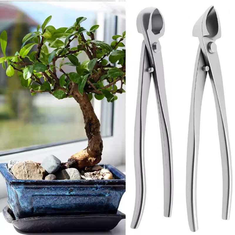 2 Stuks 210 Mm Rvs Bonsai Tool - Gardening Tools Australia recensie en prijs