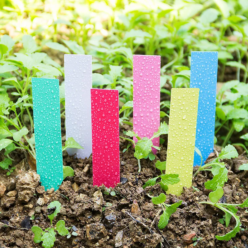 100Pcs Dikke 4Inch Plant Label - Garden Label Marker recensie en prijs