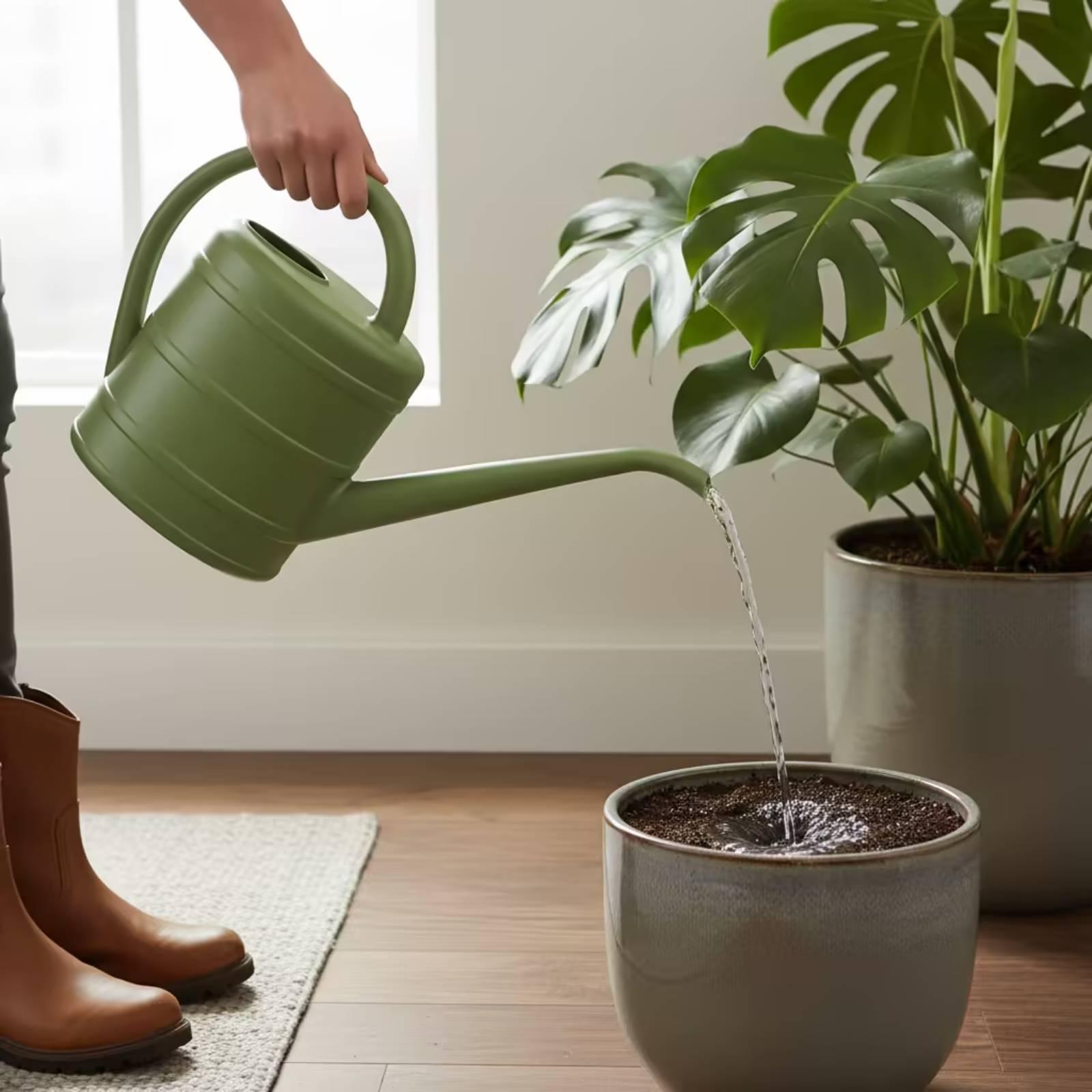 Gieter met lange tuit, makkeli - Watering Can Long Spout recensie en prijs