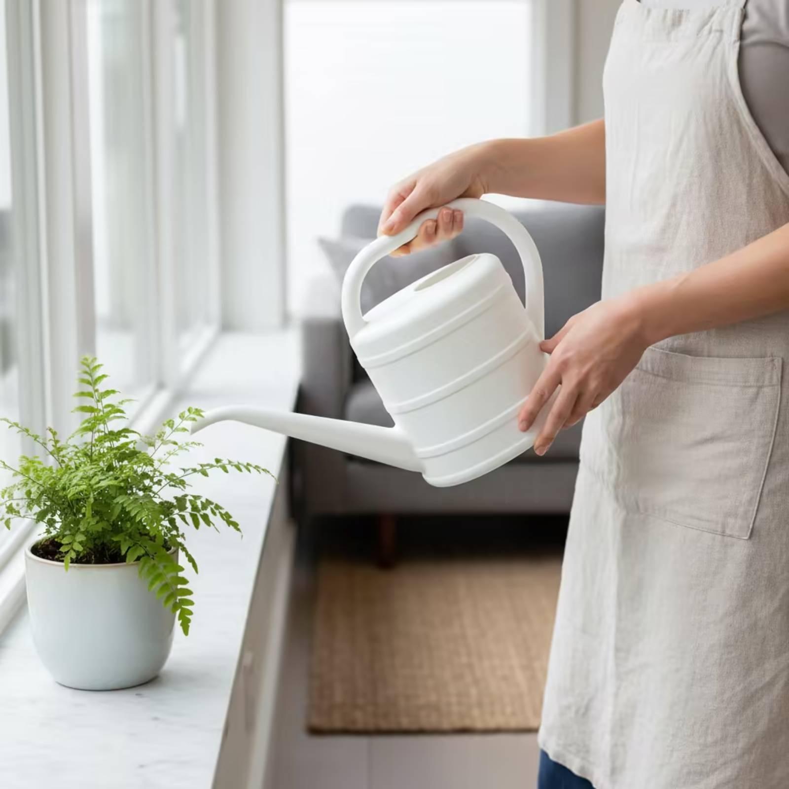 Gieter met lange tuit, makkeli - Watering Can Long Spout recensie en prijs