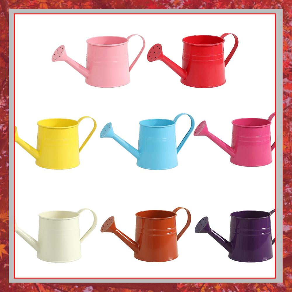 Bloemen-sproeier met lange tui - Watering Can Long Spout recensie en prijs