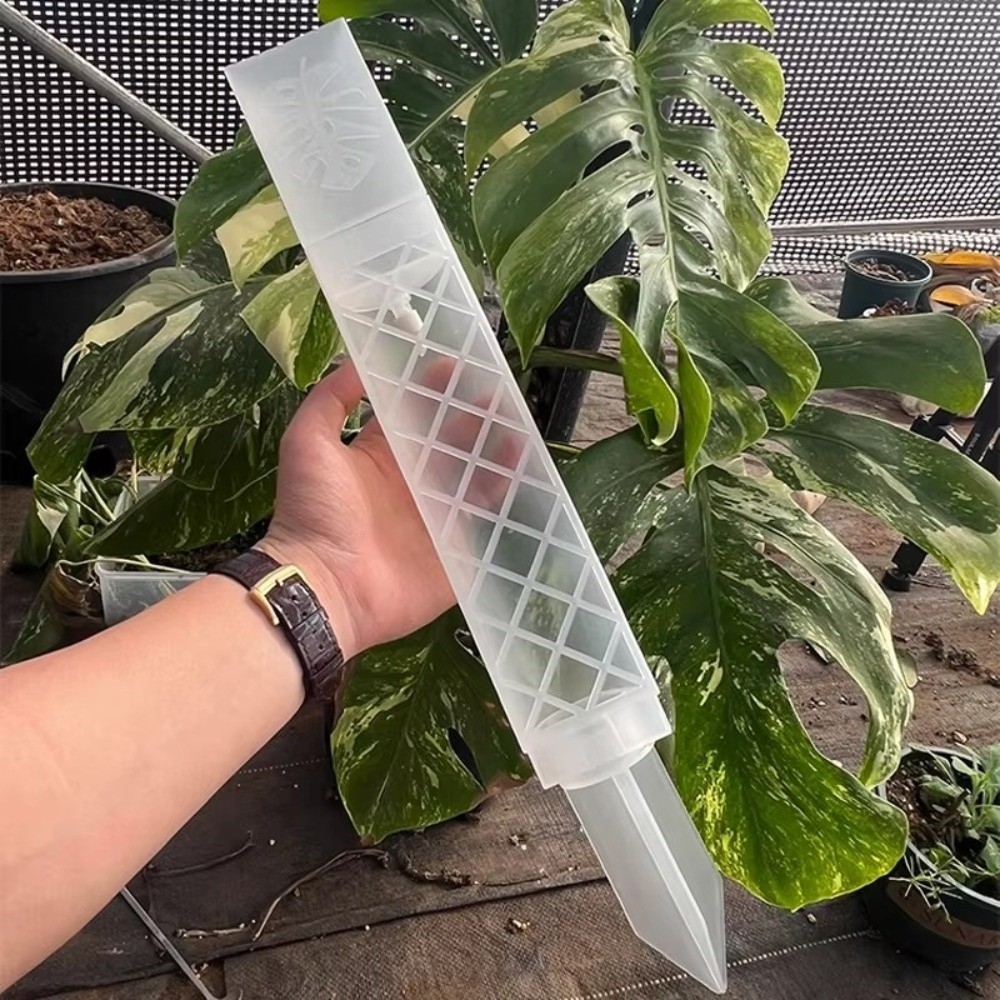 D-vormige zelfwatergevende pla - Automatic Plant Waterer recensie en prijs