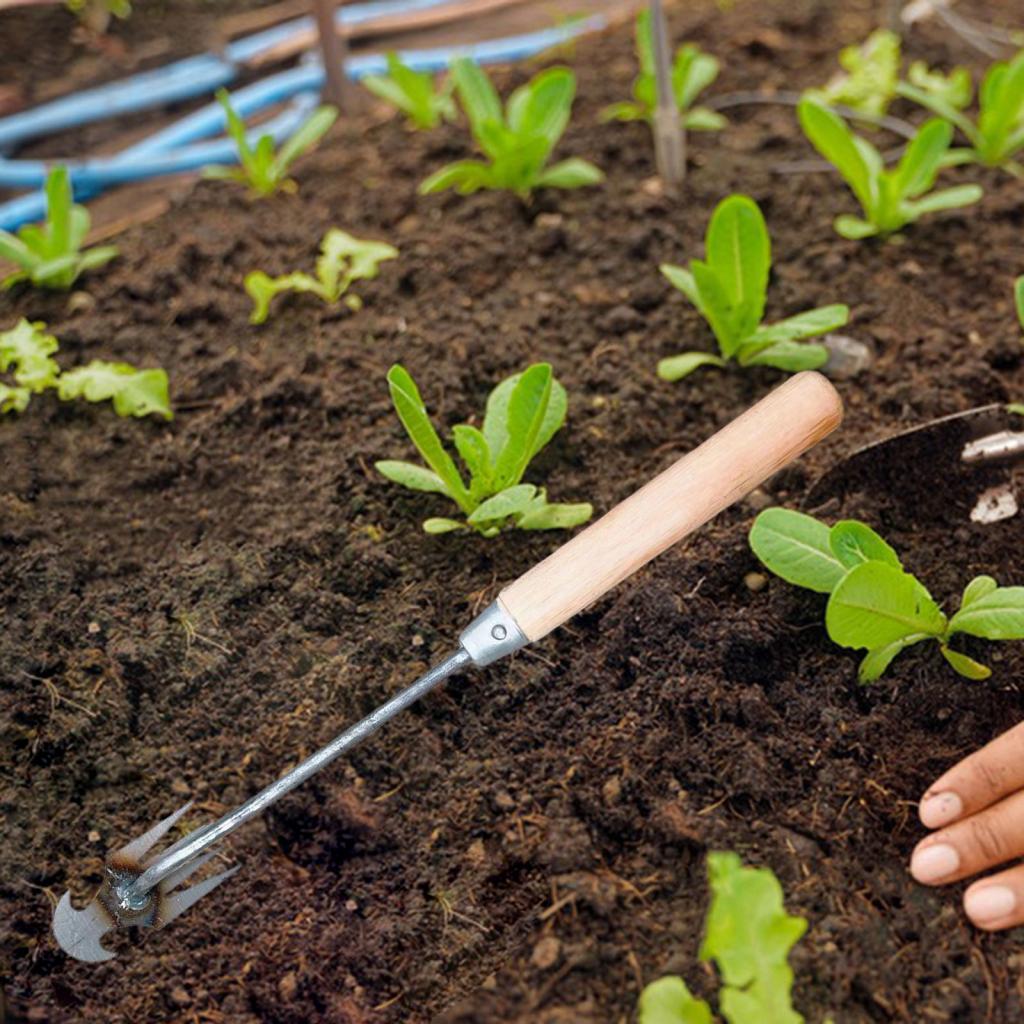 Tuinonkruidgereedschap Tuinier - Gardening Tools For Digging recensie en prijs