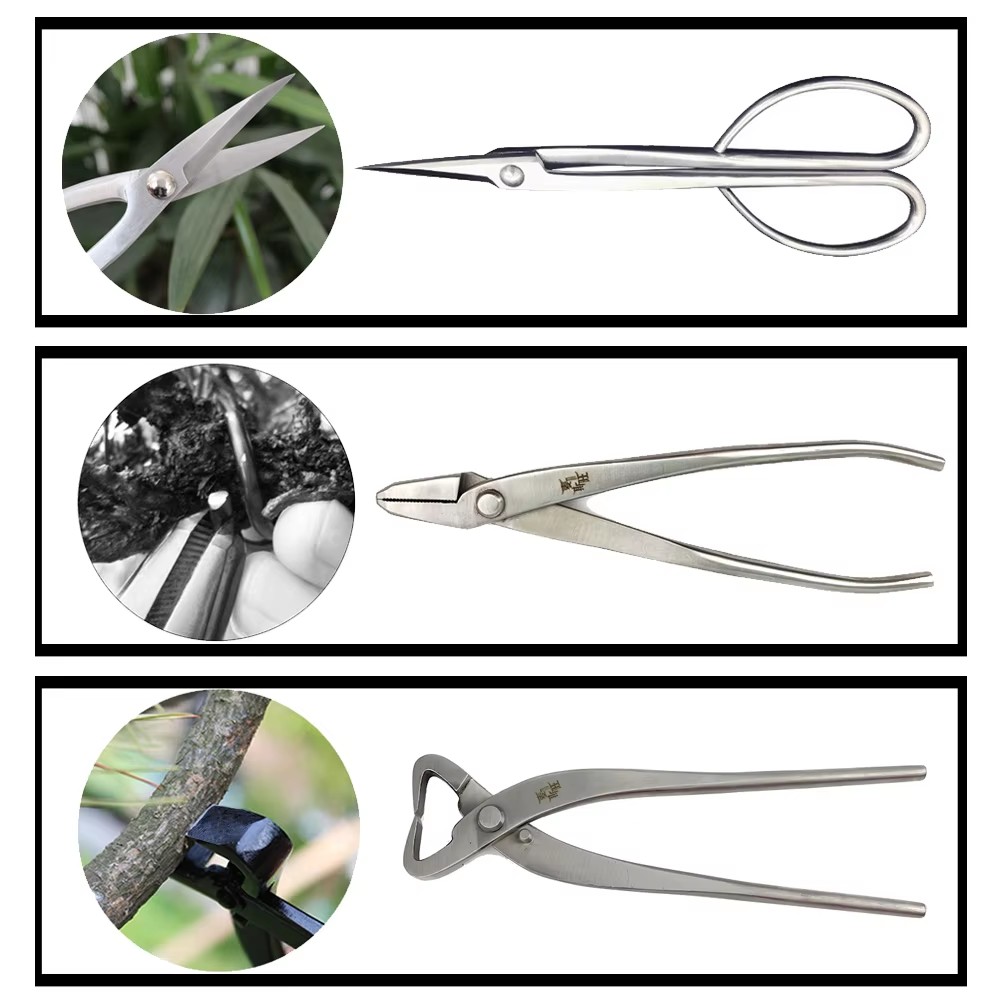 Premium Bonsai Gereedschapset  - Gardening Tools Australia recensie en prijs