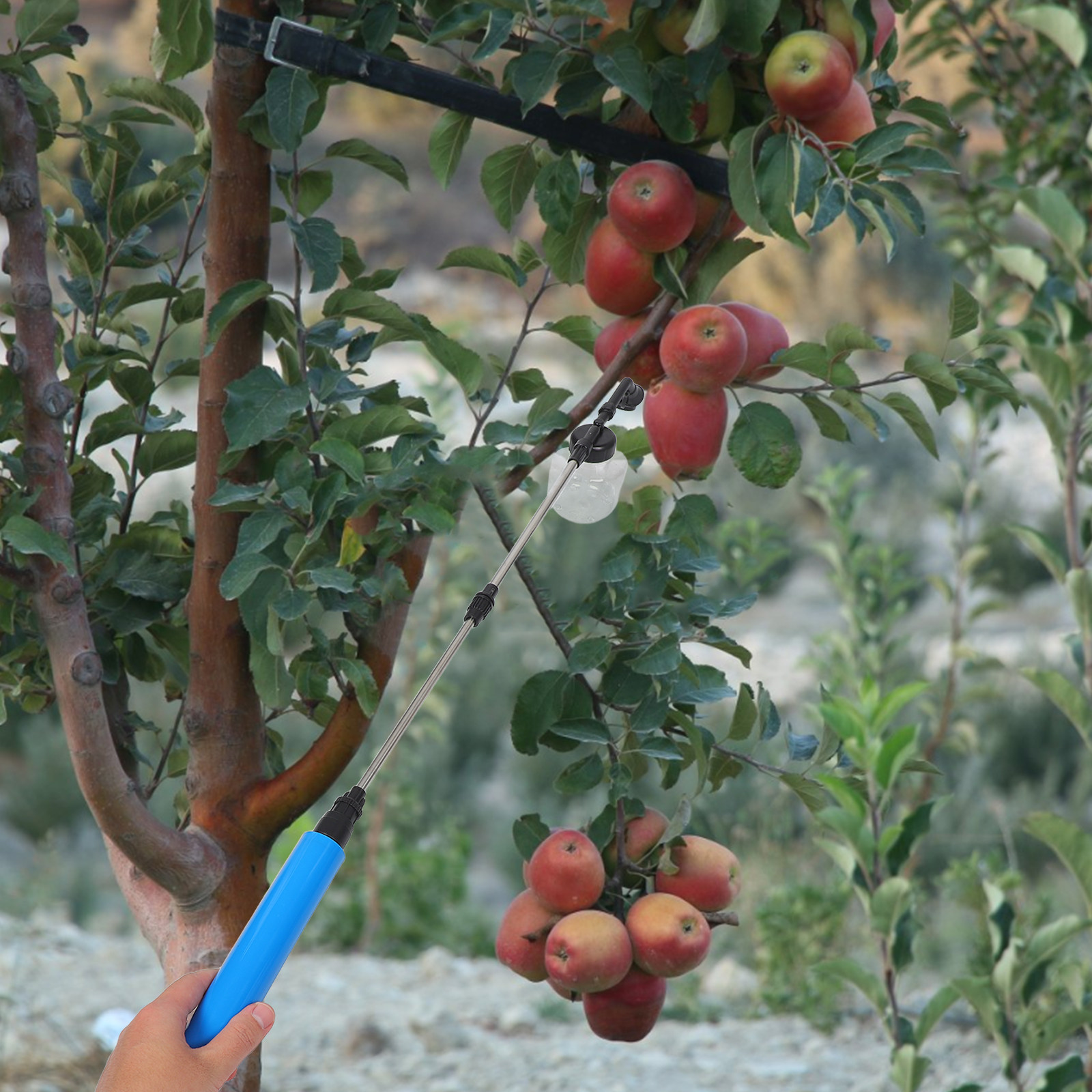 Handmatige bestuiverspuit voor - Gardening Tools Vegetables recensie en prijs