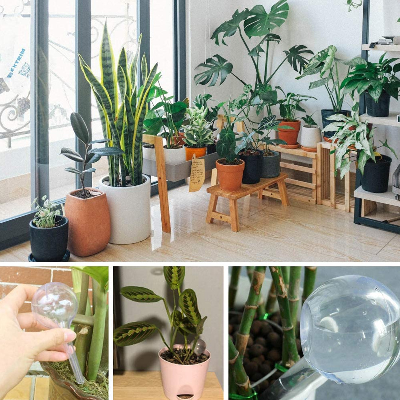 5/10PCS Automatische Plant Wat - Automatic Plant Waterer recensie en prijs