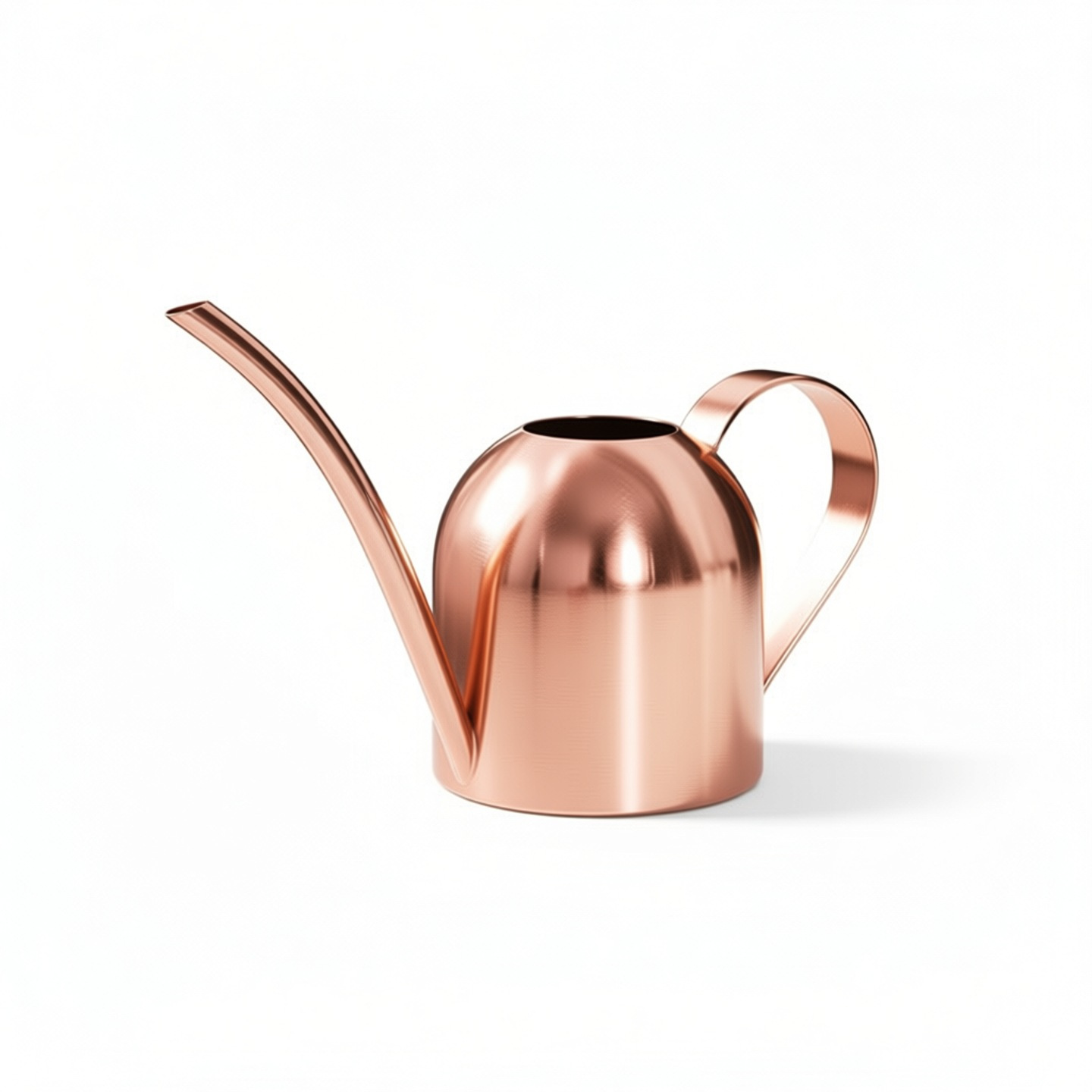 1 st roestvrijstalen gieter ko - Watering Can Long Spout recensie en prijs
